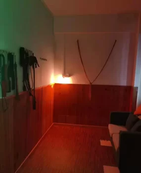 佳木斯亲测SM满足你一切幻想